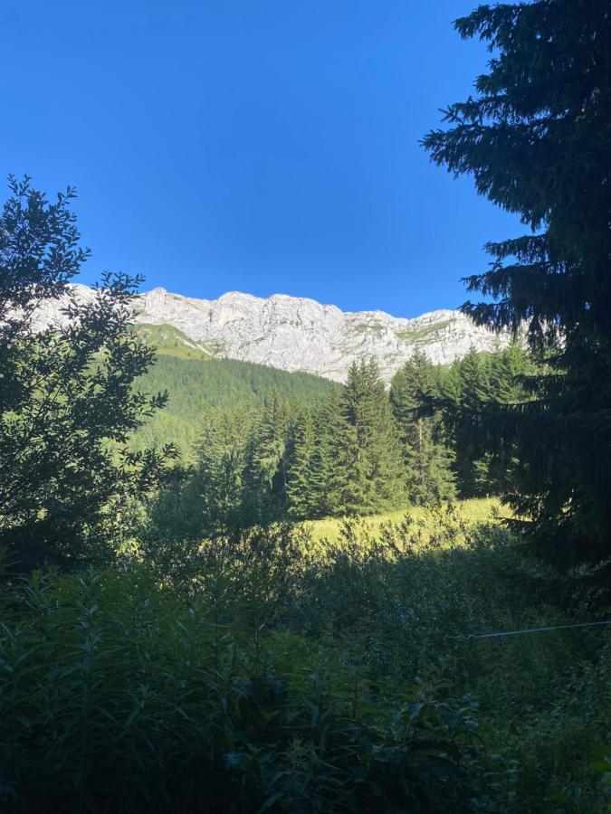 Cretes Du Vercors Vue Magnifique 빌라르 드 랑 외부 사진